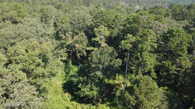 $295,000 | 997 Morgantown Road, Foxworth, MS 39483