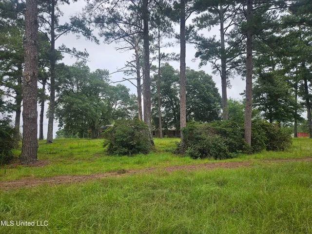 $295,000 | 997 Morgantown Road, Foxworth, MS 39483