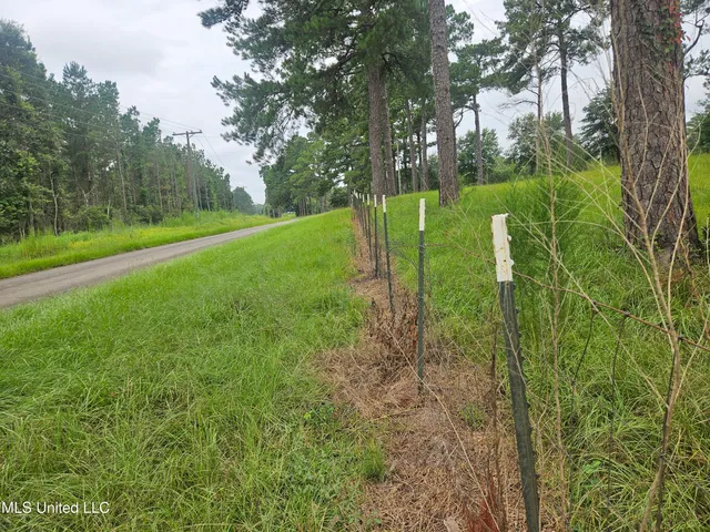 $295,000 | 997 Morgantown Road, Foxworth, MS 39483