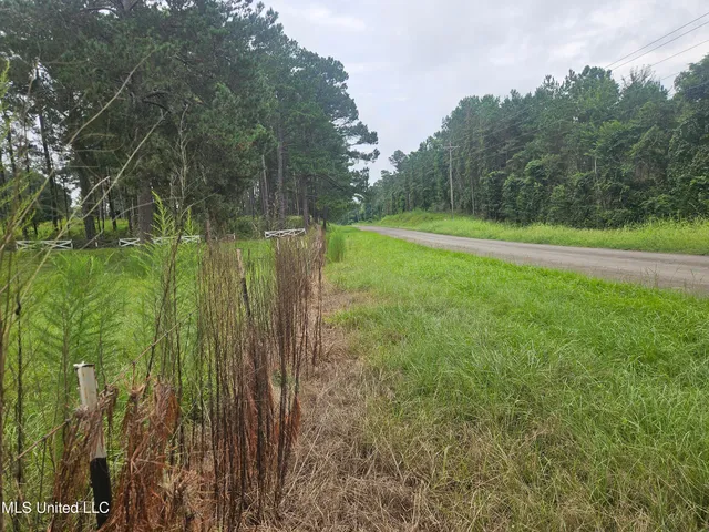 $295,000 | 997 Morgantown Road, Foxworth, MS 39483