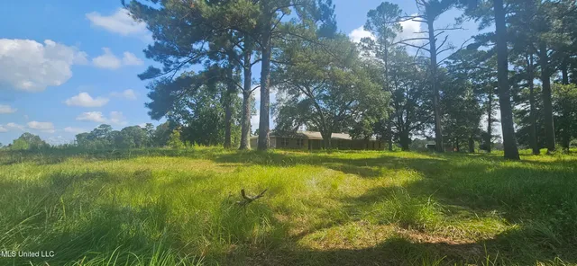 $295,000 | 997 Morgantown Road, Foxworth, MS 39483