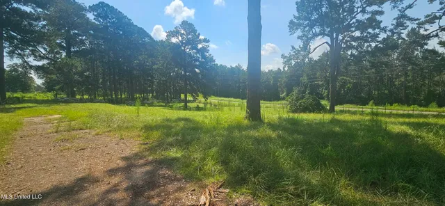 $295,000 | 997 Morgantown Road, Foxworth, MS 39483