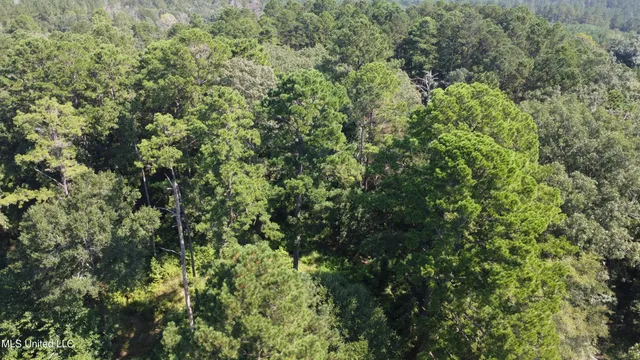 $295,000 | 997 Morgantown Road, Foxworth, MS 39483