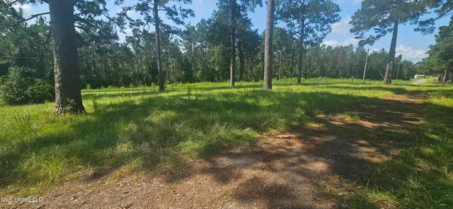 $295,000 | 997 Morgantown Road, Foxworth, MS 39483