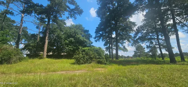 $295,000 | 997 Morgantown Road, Foxworth, MS 39483