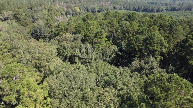 $295,000 | 997 Morgantown Road, Foxworth, MS 39483