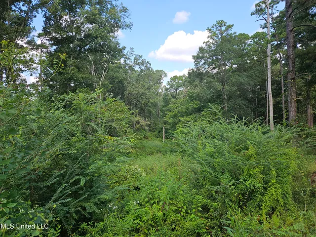 $295,000 | 997 Morgantown Road, Foxworth, MS 39483