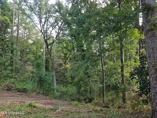 $295,000 | 997 Morgantown Road, Foxworth, MS 39483