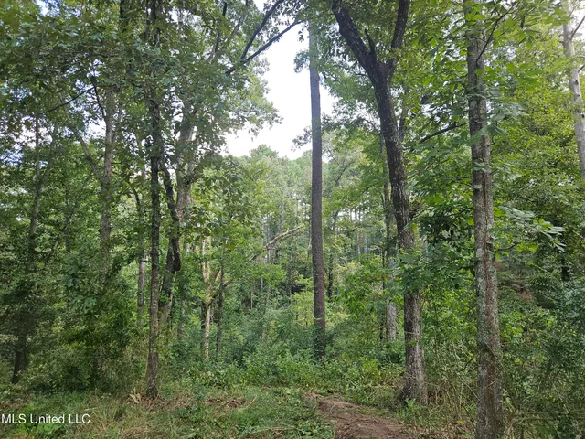 $295,000 | 997 Morgantown Road, Foxworth, MS 39483