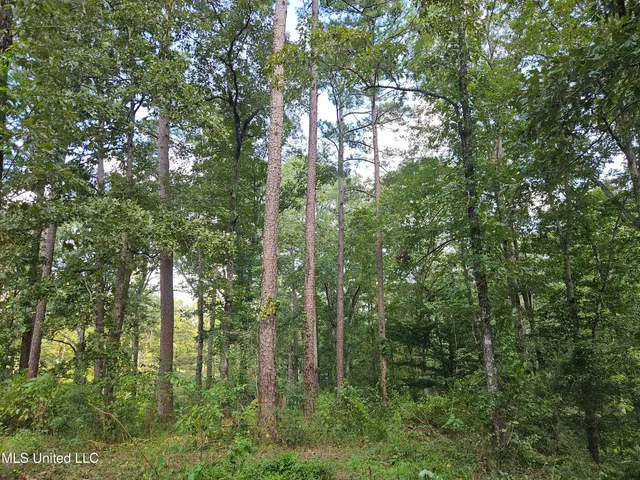 $295,000 | 997 Morgantown Road, Foxworth, MS 39483