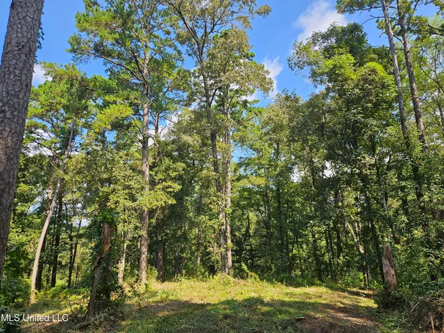 $295,000 | 997 Morgantown Road, Foxworth, MS 39483