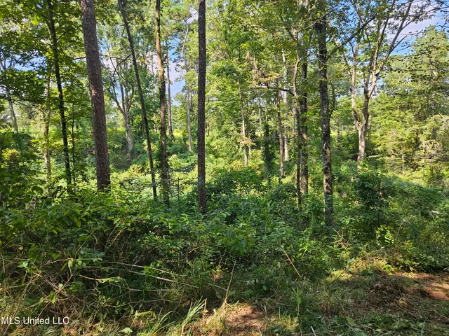 $295,000 | 997 Morgantown Road, Foxworth, MS 39483