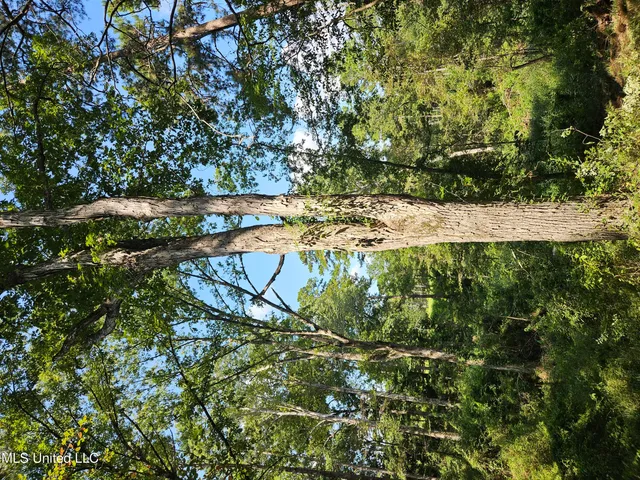 $295,000 | 997 Morgantown Road, Foxworth, MS 39483