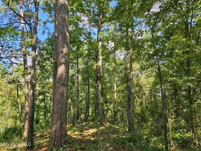 $295,000 | 997 Morgantown Road, Foxworth, MS 39483