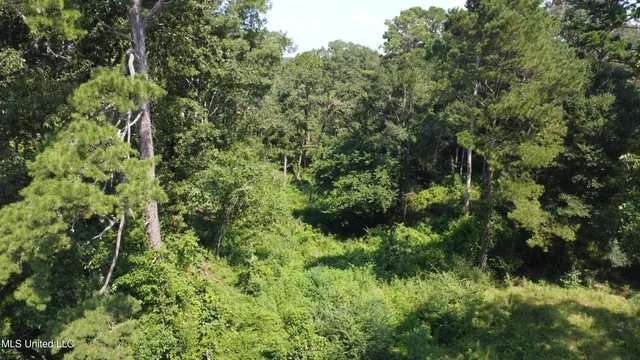 $295,000 | 997 Morgantown Road, Foxworth, MS 39483