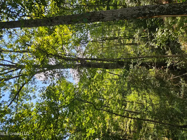 $295,000 | 997 Morgantown Road, Foxworth, MS 39483