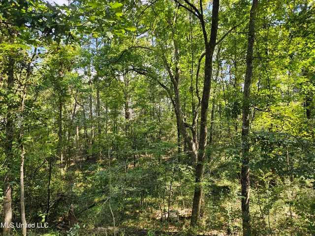 $295,000 | 997 Morgantown Road, Foxworth, MS 39483