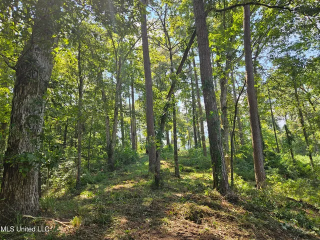 $295,000 | 997 Morgantown Road, Foxworth, MS 39483