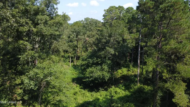 $295,000 | 997 Morgantown Road, Foxworth, MS 39483