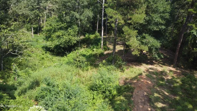 $295,000 | 997 Morgantown Road, Foxworth, MS 39483