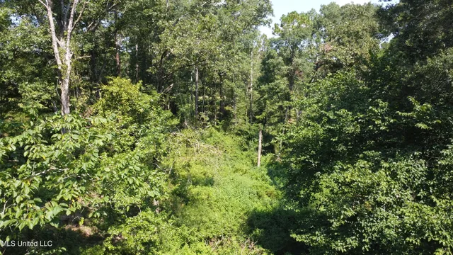 $295,000 | 997 Morgantown Road, Foxworth, MS 39483