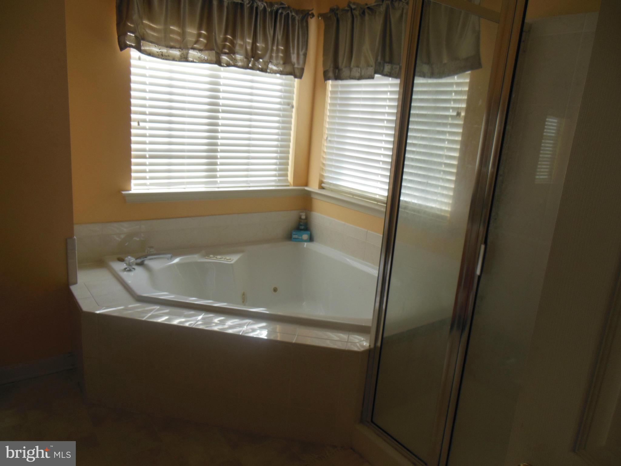 210 Spry Island Road Joppa, MD 21085 - Photo 16 of 27 Bath (Master)