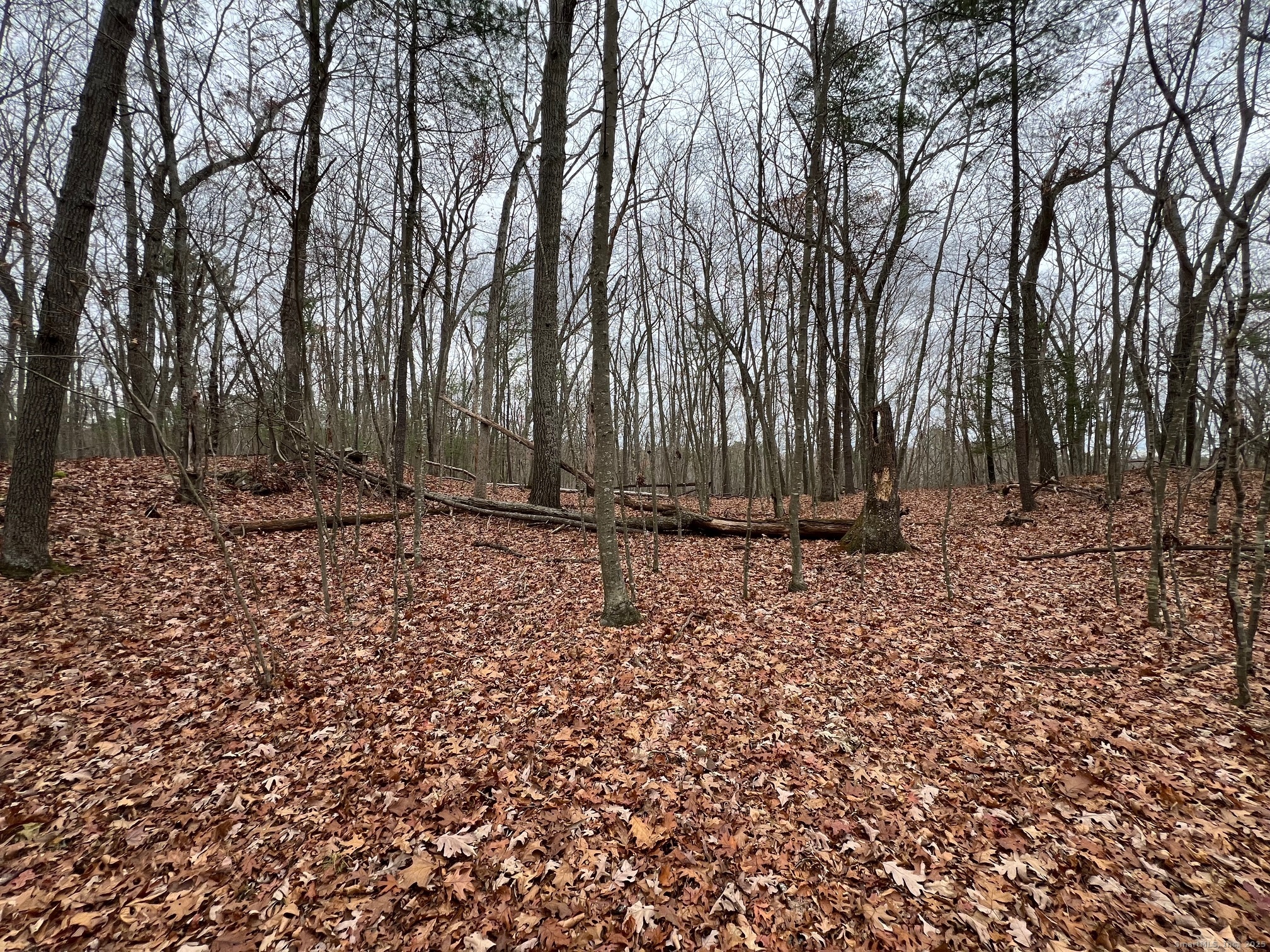 Wilsonville Road North Grosvenordale, CT 06255 - Photo 1 of 6