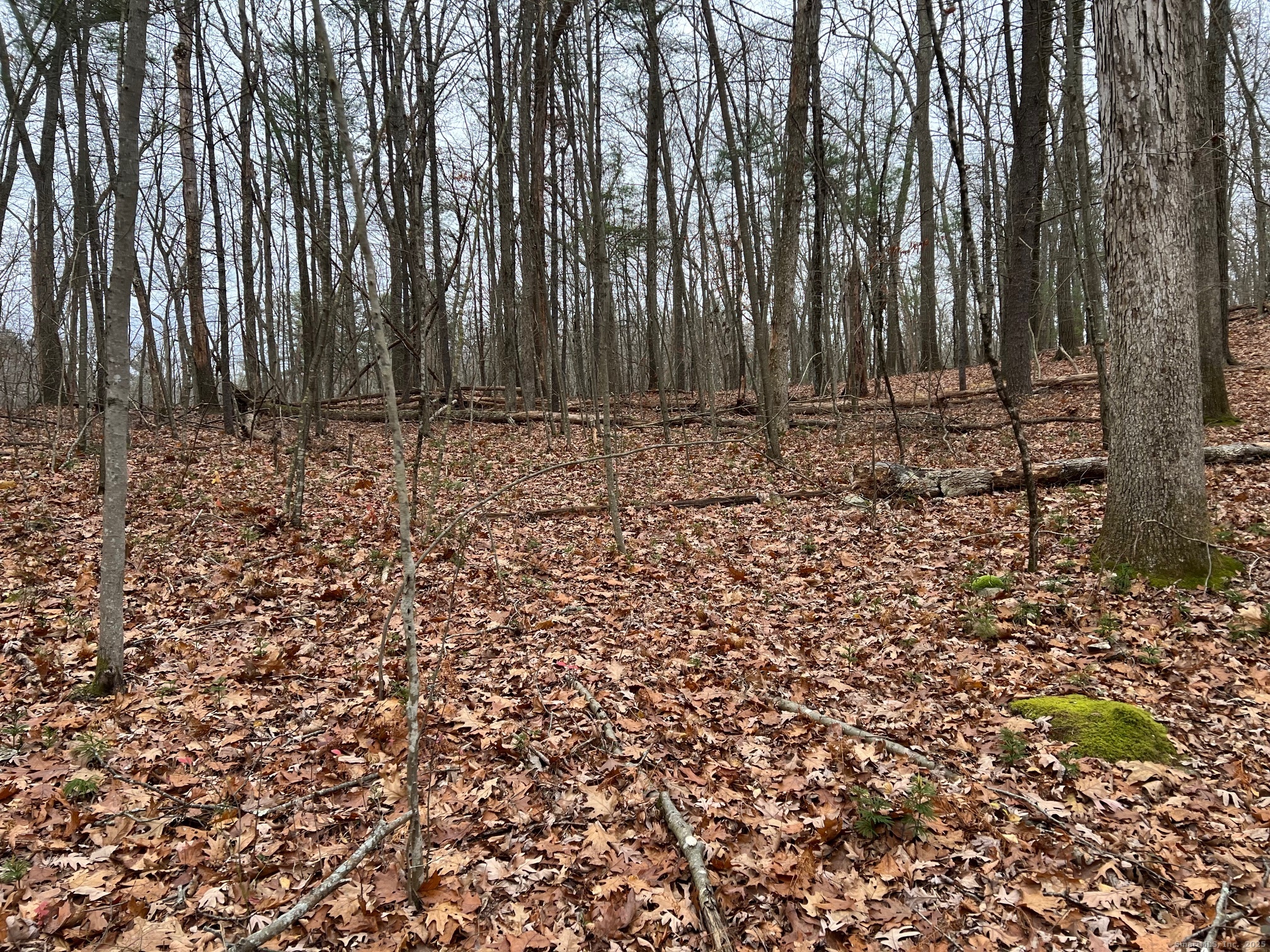 Wilsonville Road North Grosvenordale, CT 06255 - Photo 2 of 6