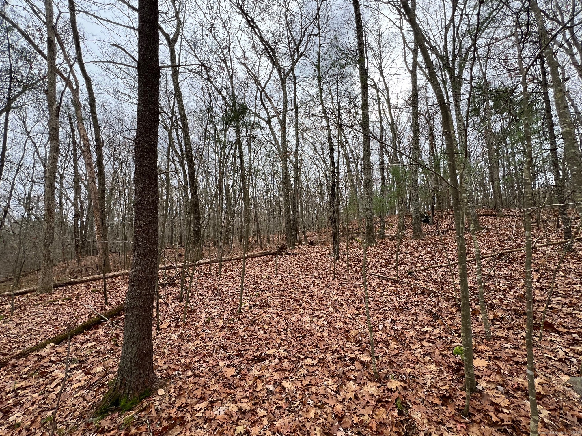 Wilsonville Road North Grosvenordale, CT 06255 - Photo 6 of 6 a view of a backyard of the house