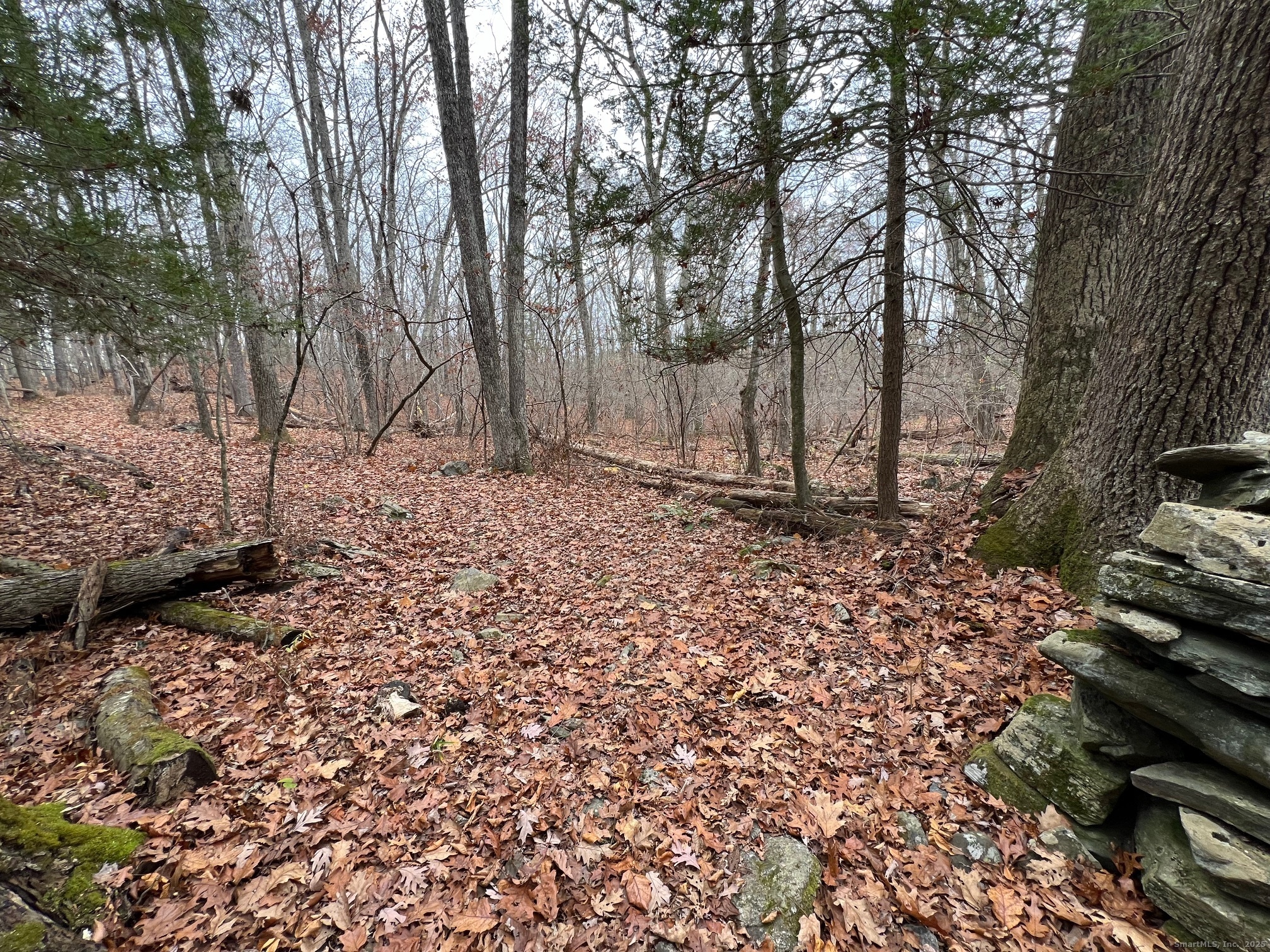 Wilsonville Road North Grosvenordale, CT 06255 - Photo 6 of 6