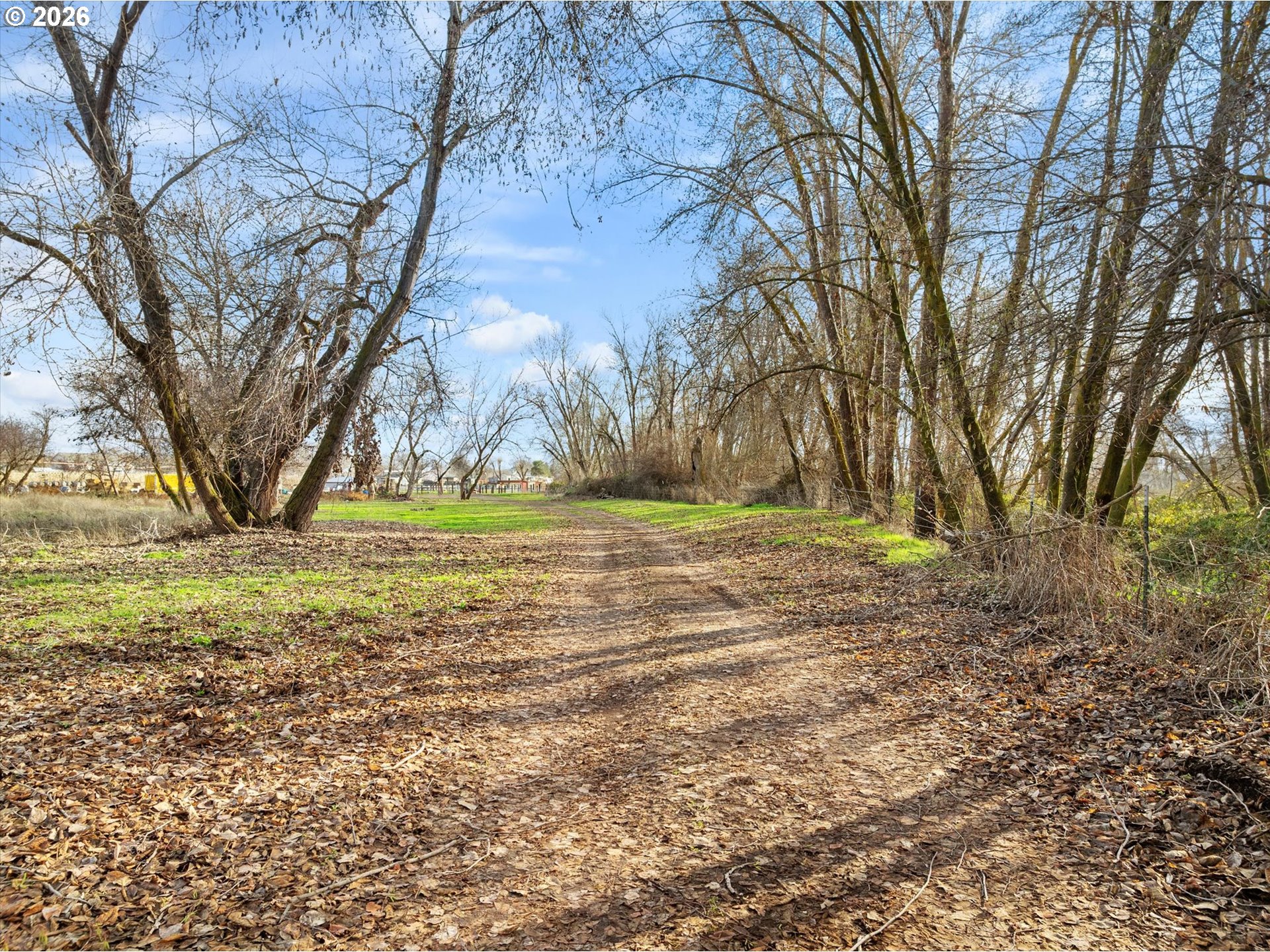 10 West Sprague Echo, OR 97826 - Photo 43 of 48 a view of a yard with a tree