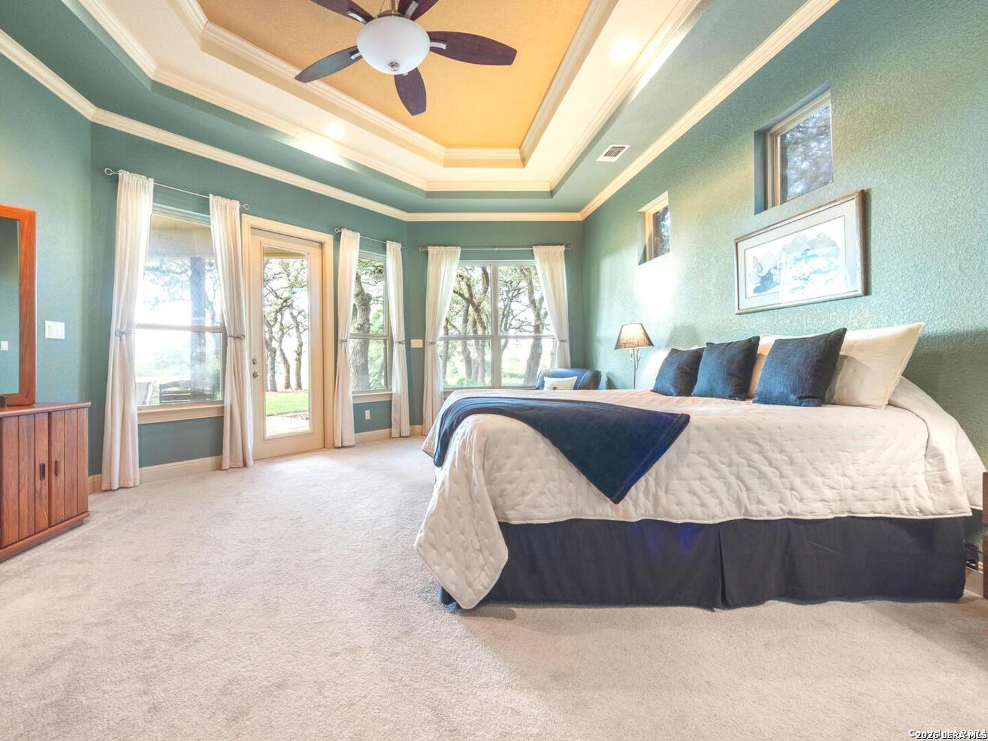 526 River Crossing Boulevard Spring Branch, TX 78070 - Photo 19 of 28