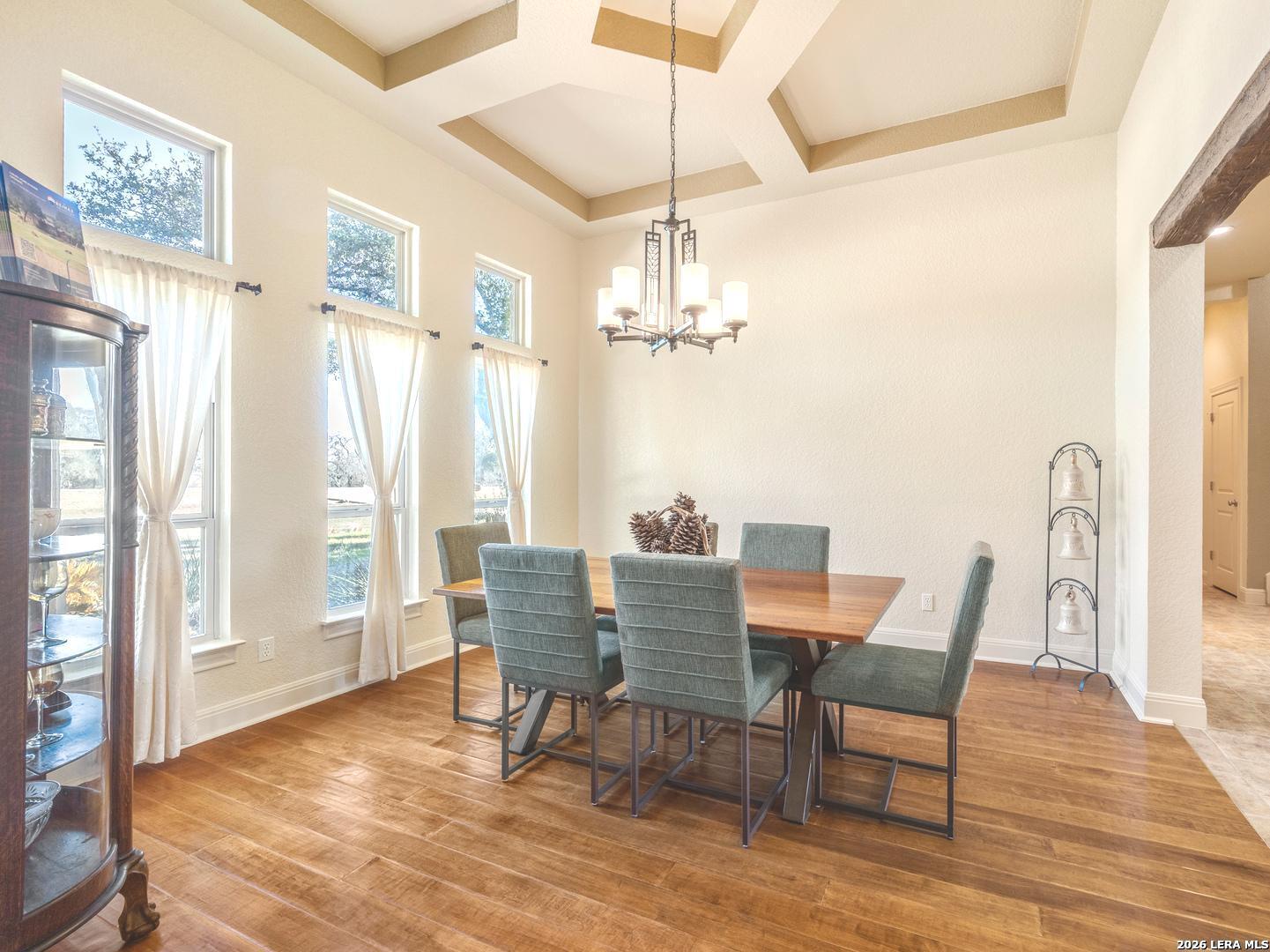 526 River Crossing Boulevard Spring Branch, TX 78070 - Photo 3 of 28