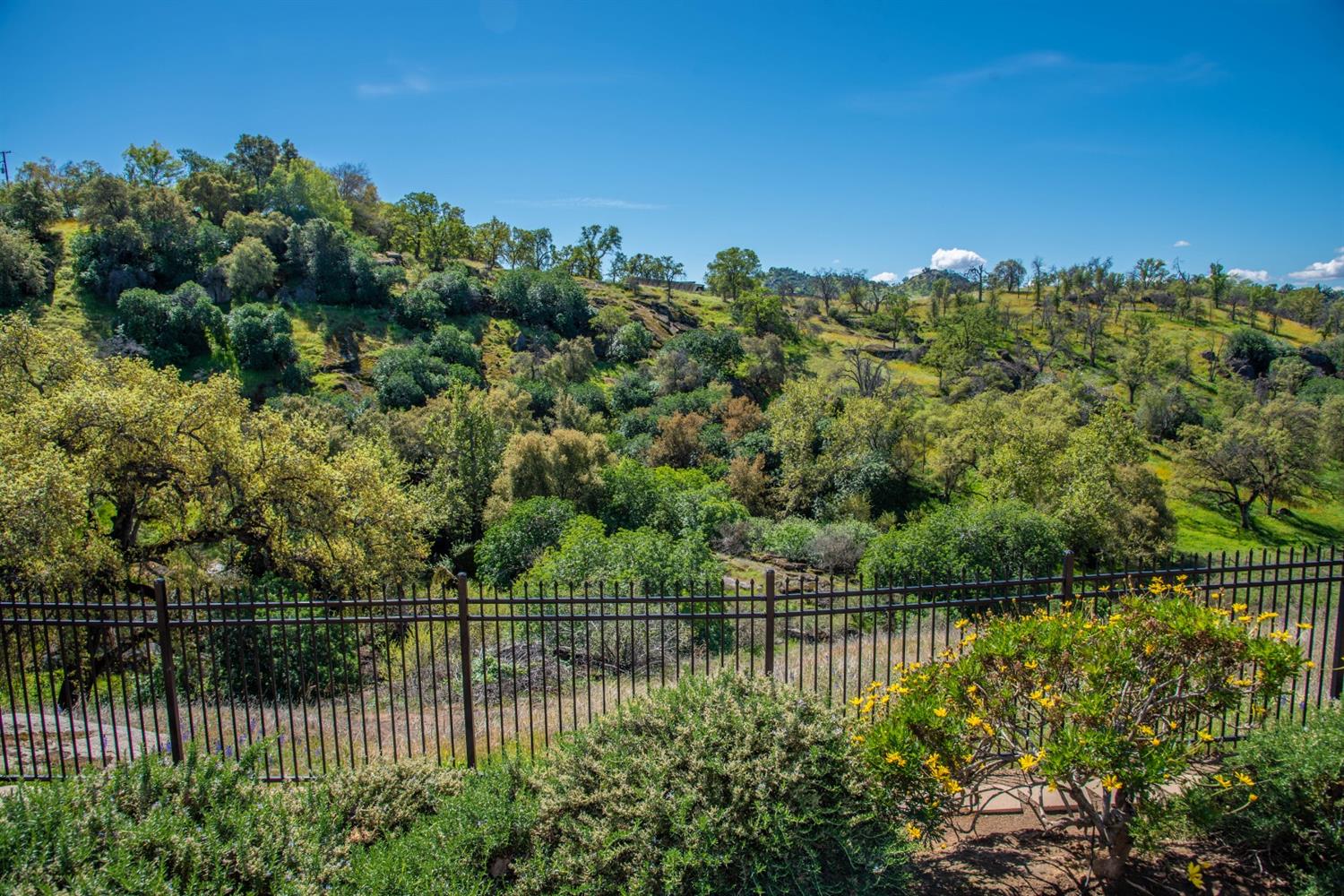 16175 Sample Road Clovis, CA 93619 - Photo 53 of 75 Gallery Image 53
