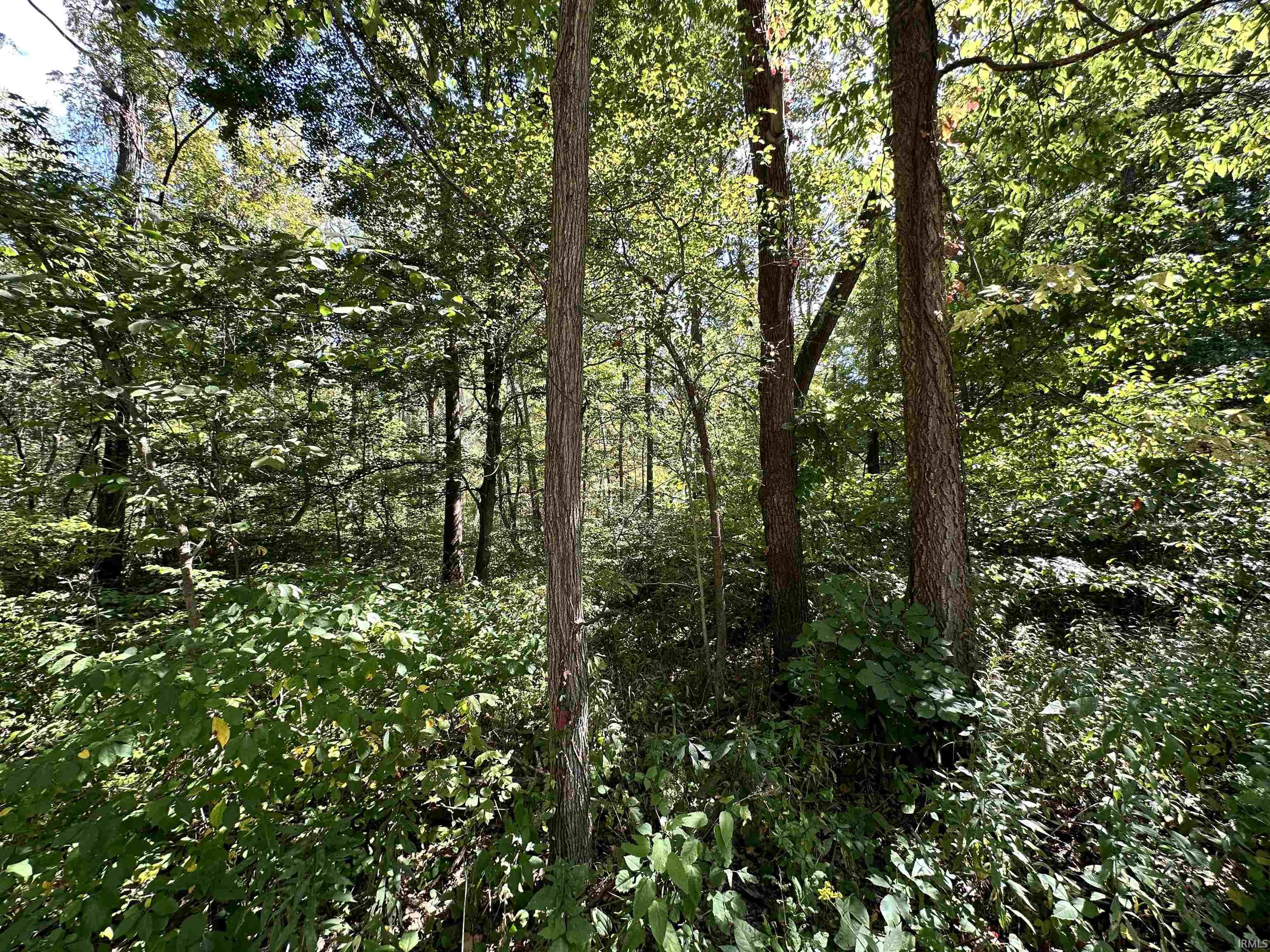 0 Old Moore Road Martinsville, IN 46151 - Photo 4 of 18 Gallery Image 4