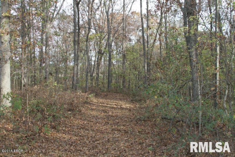 0 East Grant Road Walnut Hill, IL 62893 - Photo 2 of 13