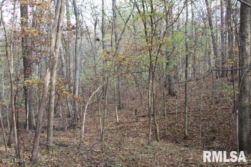 0 East Grant Road Walnut Hill, IL 62893 - Photo 4 of 13