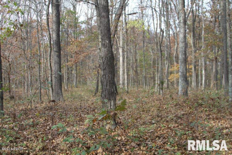 0 East Grant Road Walnut Hill, IL 62893 - Photo 9 of 13