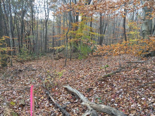 0 Stonegate Road Lancaster, OH 43130 - Photo 14 of 18