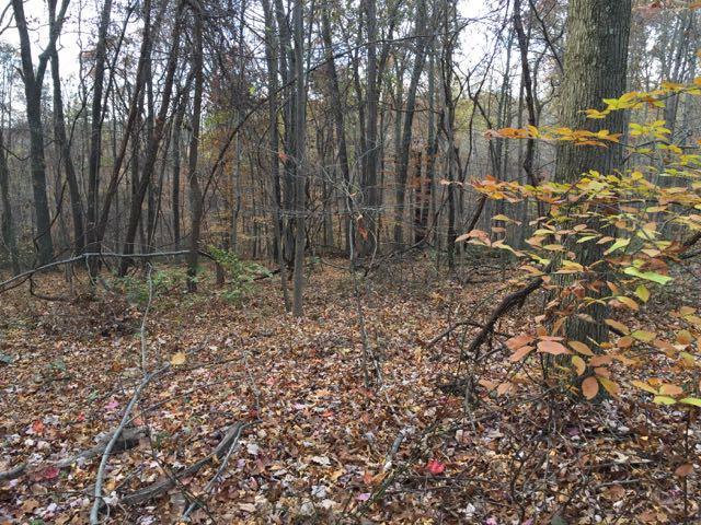 0 Stonegate Road Lancaster, OH 43130 - Photo 15 of 18
