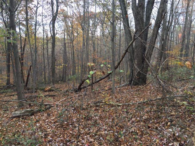 0 Stonegate Road Lancaster, OH 43130 - Photo 16 of 18