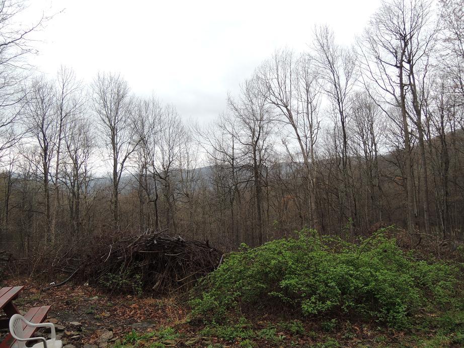 30 Holden Hollow Road Jamestown, TN 38556 - Photo 7 of 7 Stuart 016.JPG