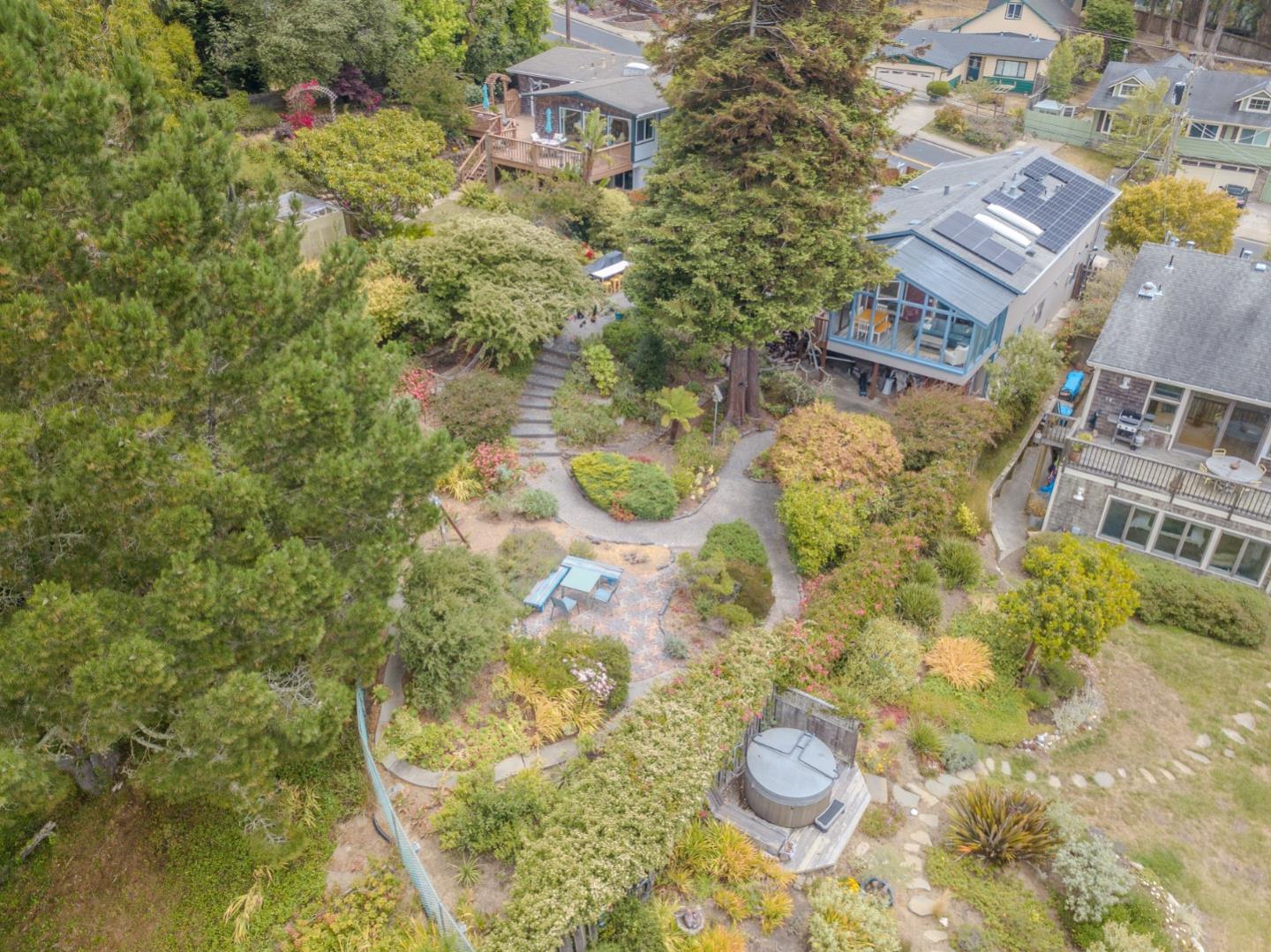 1327 Crespi Drive Pacifica, CA 94044 - Photo 47 of 48 a close up of a plant in a garden