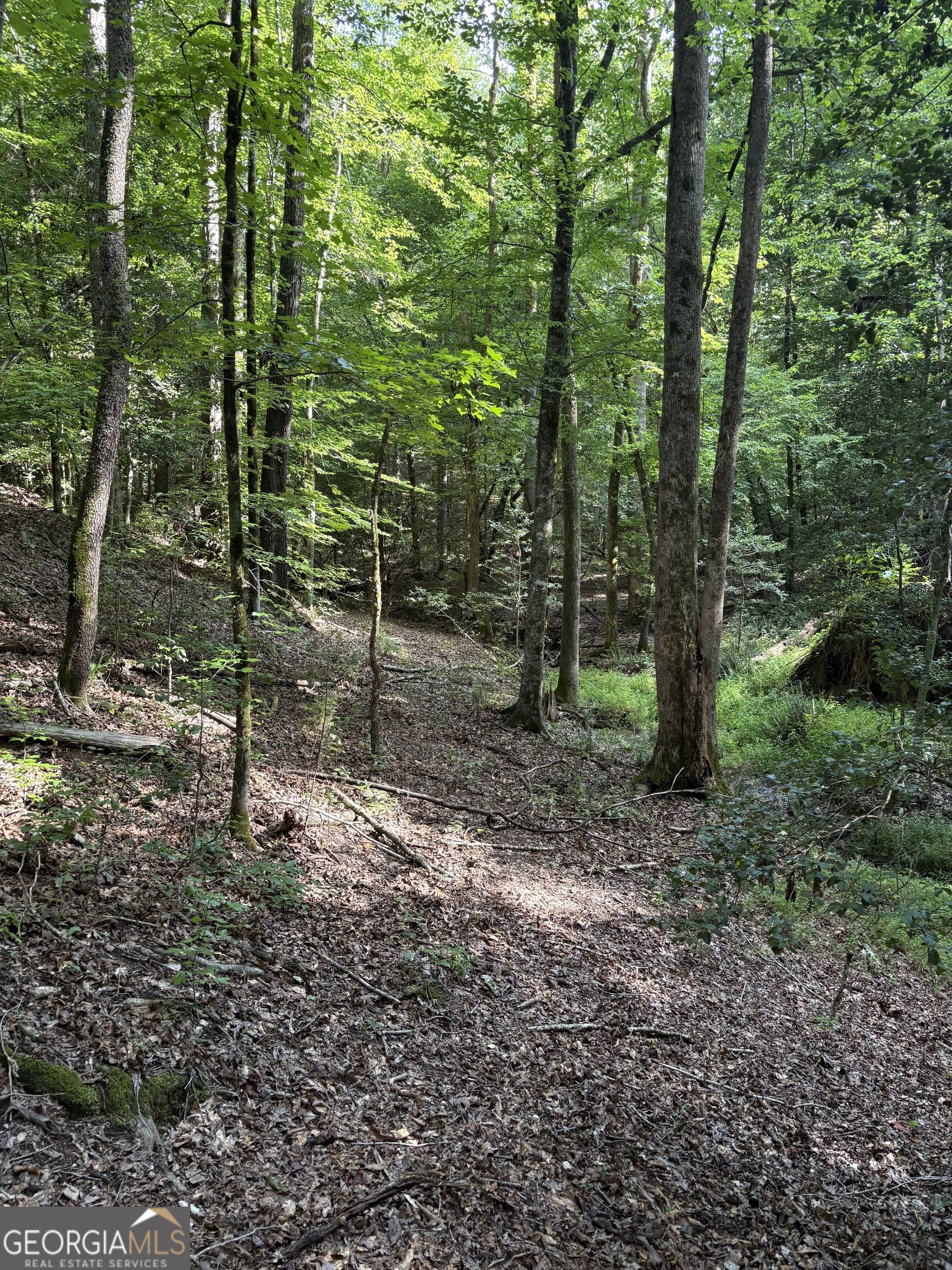 1208 Hornets Bridge Road Elberton, GA 30635 - Photo 17 of 23 Gallery Image 17