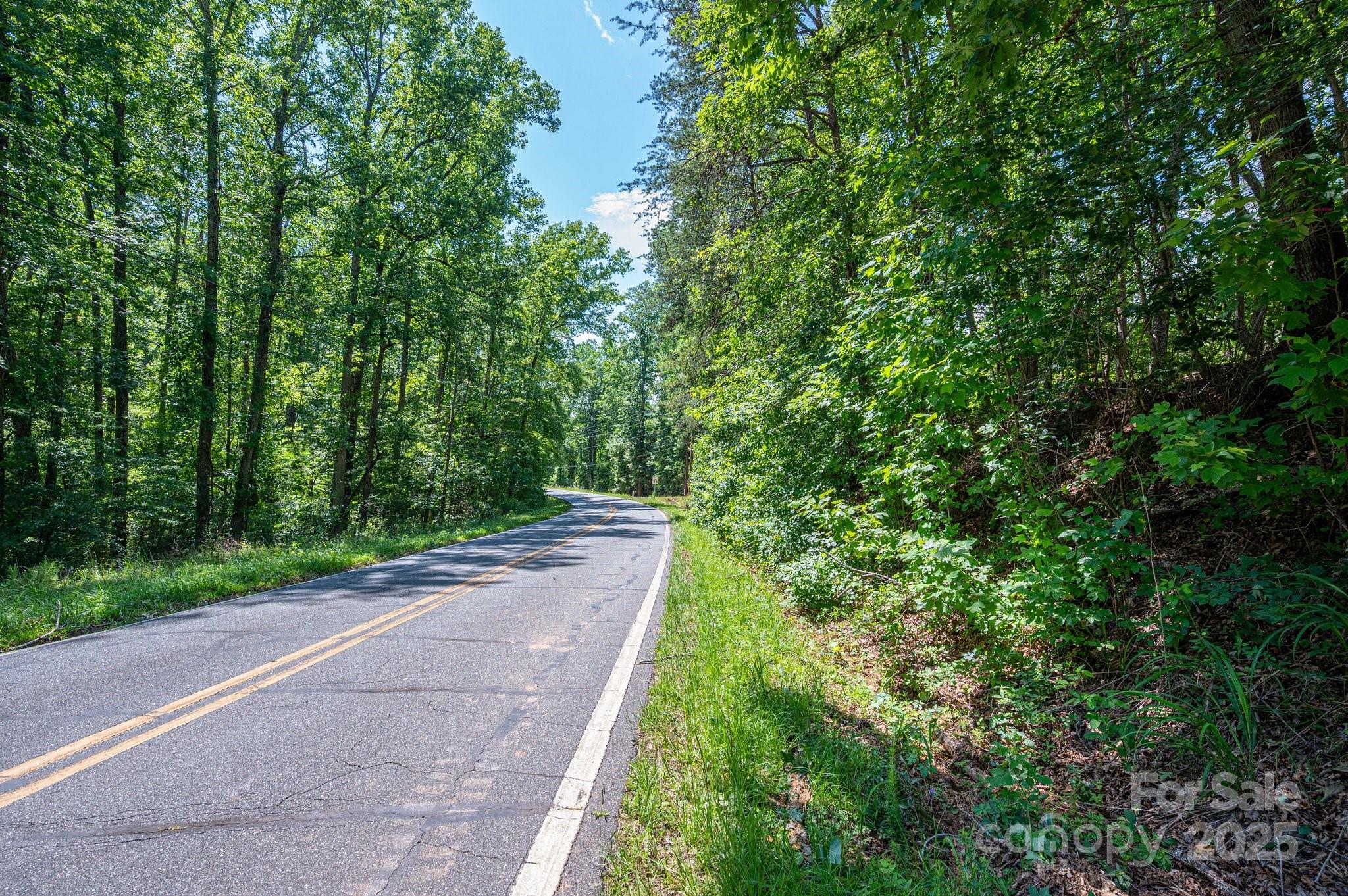Lot 7 Cleghorn Mill Road Rutherfordton, NC 28139 - Photo 20 of 22