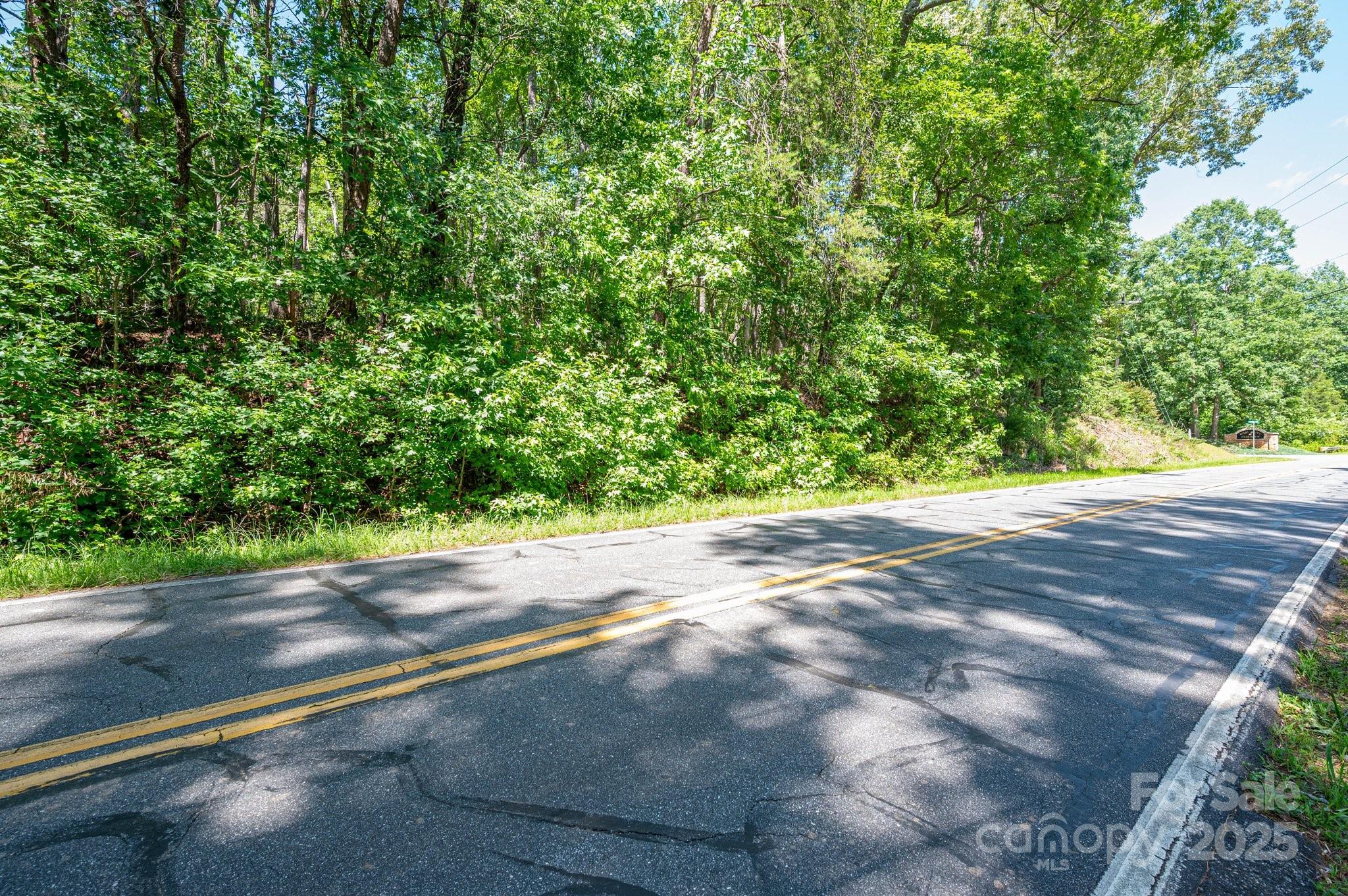 Lot 7 Cleghorn Mill Road Rutherfordton, NC 28139 - Photo 21 of 22
