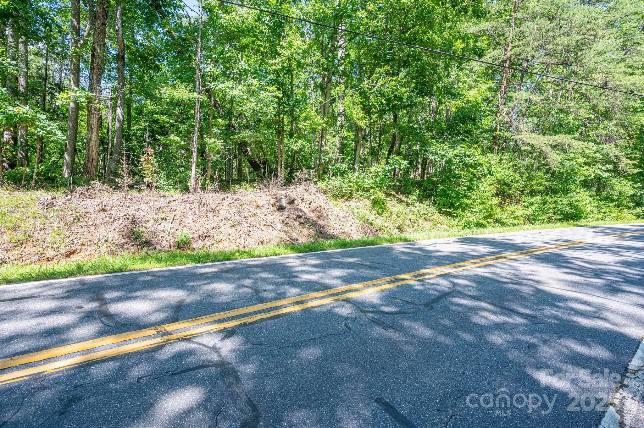 Lot 7 Cleghorn Mill Road Rutherfordton, NC 28139 - Photo 22 of 22