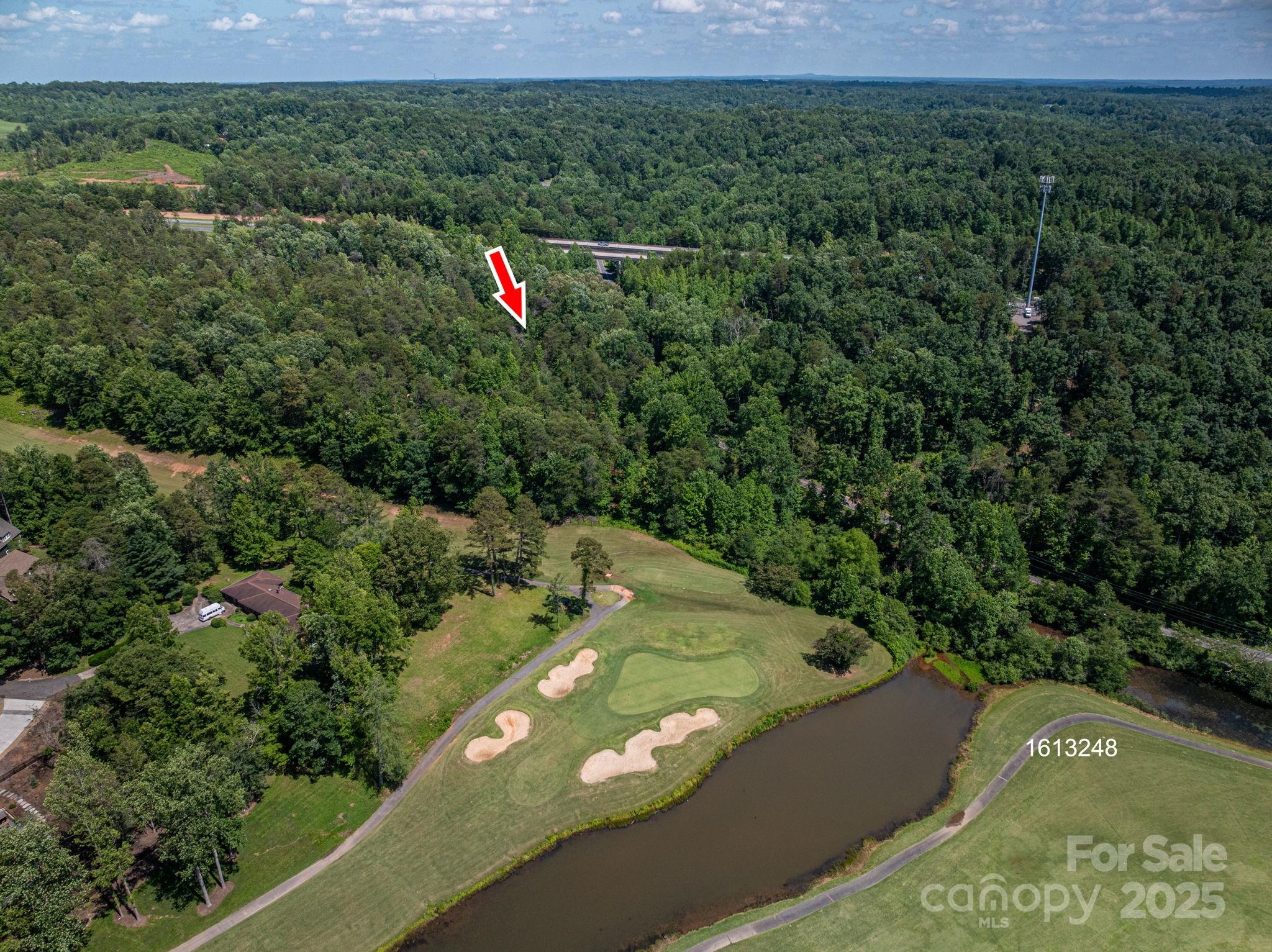 Lot 7 Cleghorn Mill Road Rutherfordton, NC 28139 - Photo 3 of 22