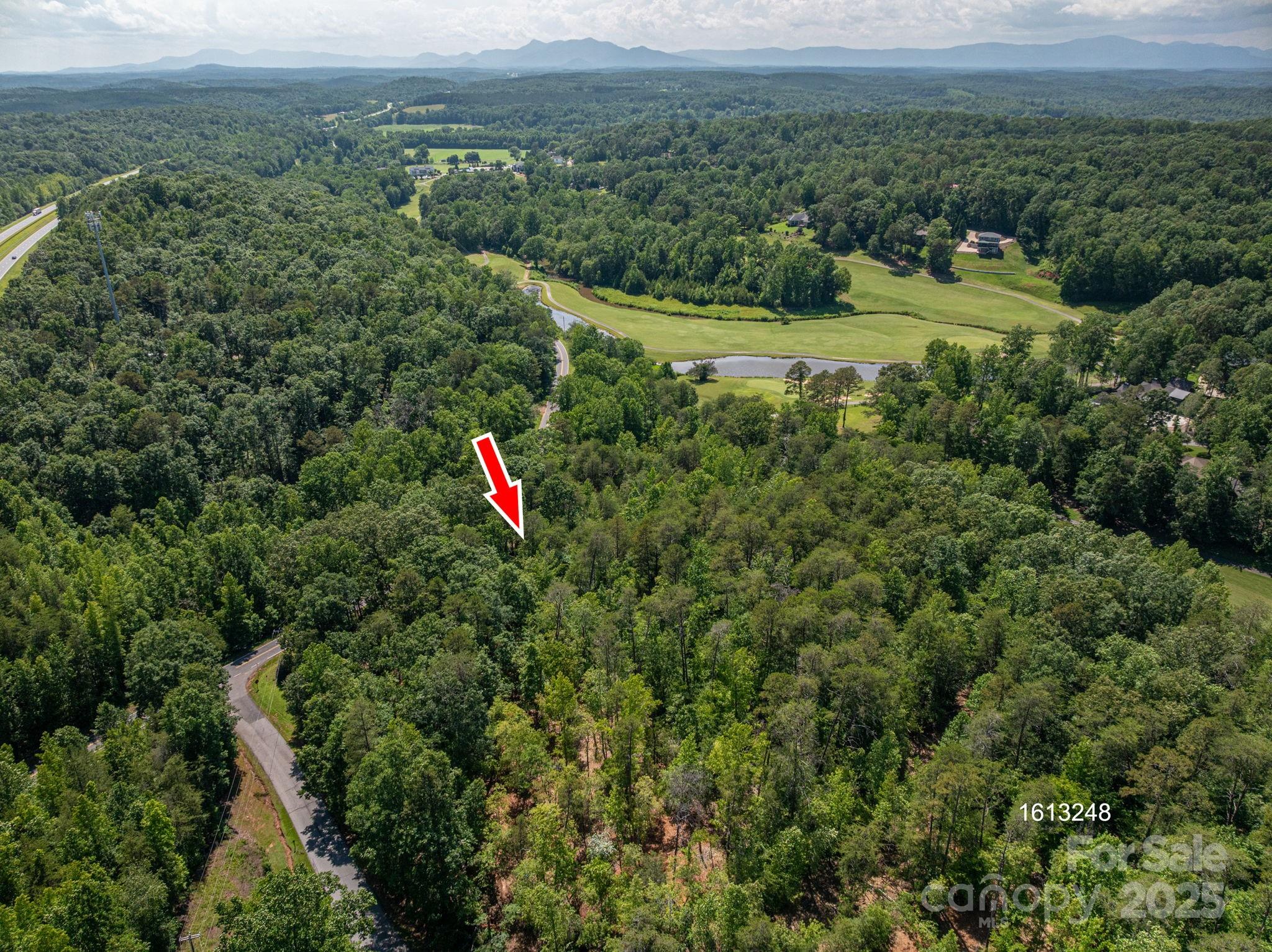 Lot 7 Cleghorn Mill Road Rutherfordton, NC 28139 - Photo 4 of 22