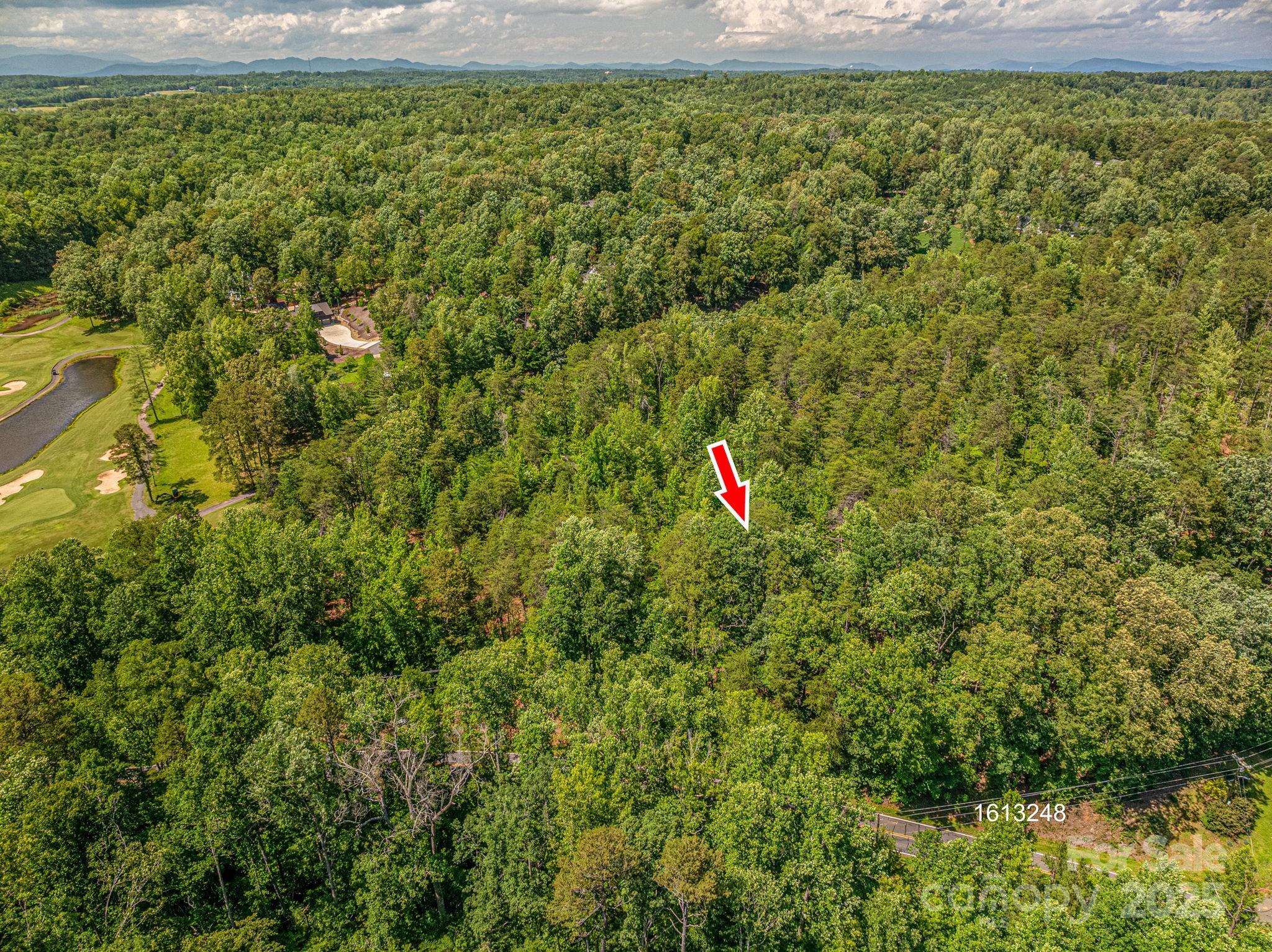 Lot 7 Cleghorn Mill Road Rutherfordton, NC 28139 - Photo 5 of 22